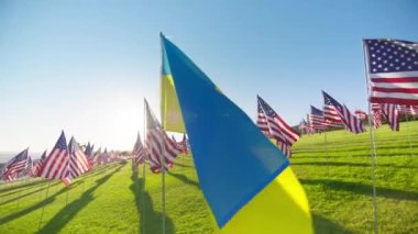 Hareket halindeki Amerikan Bayrakları, mavi gökyüzünde parlayan güneş ışığı. Ukrayna 'nın ulusal bayrağı kırmızı kamerada mavi sarı renklerde. Gün batımında rüzgarda gururla dalgalanan Ukrayna Bayrağı