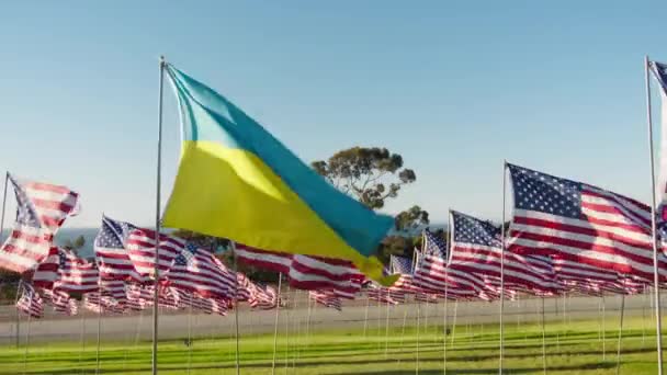 红色相机上蓝色黄色的慢动作乌克兰国旗 夕阳西下 飘扬的乌克兰国旗在风中飘扬 美国国旗在蓝天的映衬下飘扬 — 图库视频影像