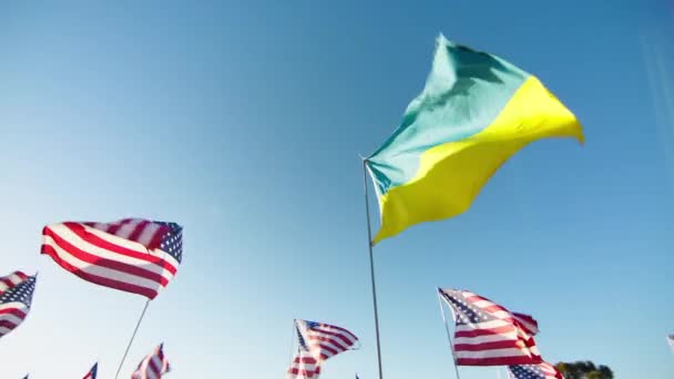 夕阳西下 乌克兰国旗生机勃勃 在风中飘扬 美国国旗在蓝色天空中闪烁着太阳的光芒 红色照相机上蓝色黄色的慢动作乌克兰国旗 — 图库视频影像