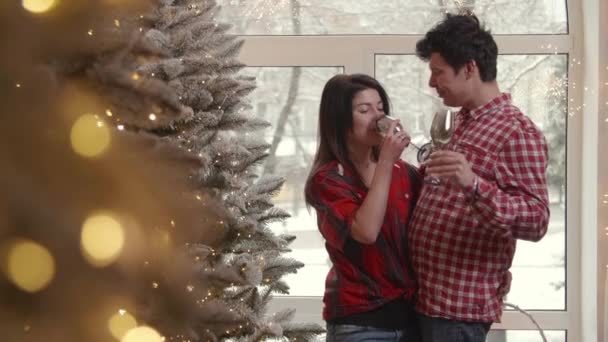 Man Woman Drink Champagne Christmas Tree Lovely Couple Wearing Red — Stock Video