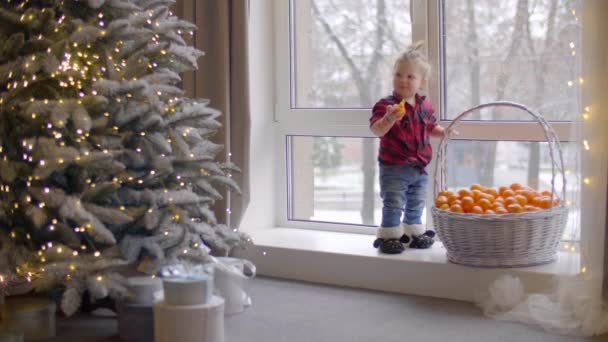 Szczęśliwa Dziewczynka Tańczy Przy Oknie Jedząc Mandarynkę Dziecko Świątecznym Stroju — Wideo stockowe