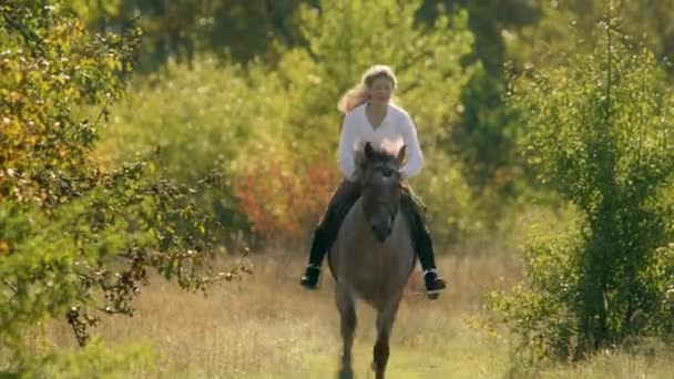 在沿着乡村自然景观飞驰的动物上旅行的令人兴奋和具有挑战性的经验 一个年轻的高加索女人骑着马的特写 高质量的4K镜头 — 图库视频影像
