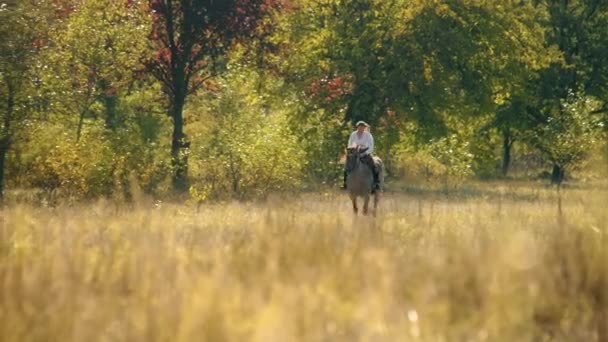 Kvalifikovaná Blonďatá Žena Jezdící Koni Krásné Pastvině Vzrušující Náročný Zážitek — Stock video