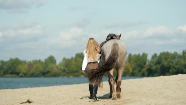 Back View Caucasian Woman Training Her Brown Horse Shore Skilled — Stock Video