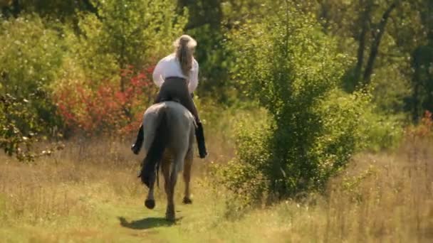 Malebný Pohled Mladou Bělošku Koni Zkušená Jezdkyně Koni Cválajícím Zvířeti — Stock video