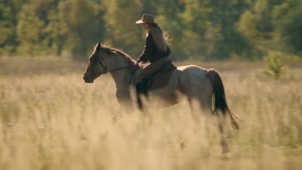 Γεμάτη Καυκάσια Γυναίκα Ιππεύει Ένα Άλογο Μέσα Όμορφο Βοσκότοπο Στην — Αρχείο Βίντεο