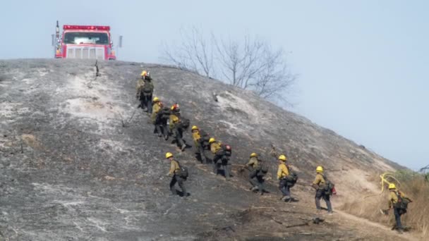 Linia Strażaków Wspinająca Się Spalonym Wzgórzu Ugaszeniu Pożaru Plan Ratunkowy — Wideo stockowe