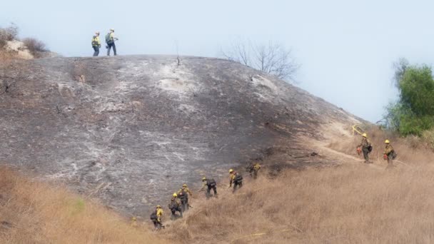 Firefighters Work Hard Contain Brush Fires Burnt Out Control Wild — Stock Video
