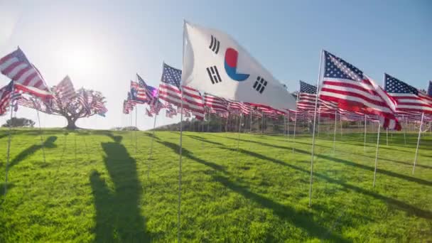 Red Camera Hoge Kwaliteit Beeldmateriaal Vlag Van Zuid Korea Zwaaiend — Stockvideo