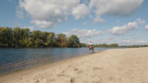 Malowniczy Krajobraz Idealny Weekendowy Wypoczynek Jeździeckim Wiejskim Klubie Aktywna Jeźdźczyni — Wideo stockowe