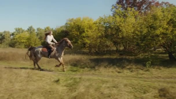 Galope Extremamente Energético Cavalgando Longo Paisagem Esverdeada Mulher Cavalo Desfrutando — Vídeo de Stock