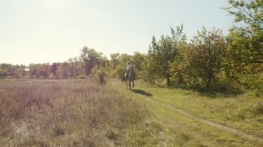 Kırsal bölgelerde at süren genç bir sporcu. Sarışın, beyaz bir kız güzel hayvanını yemyeşil bahçelerde ve kırsal alanda eğitiyor. Yüksek kalite 4k görüntü