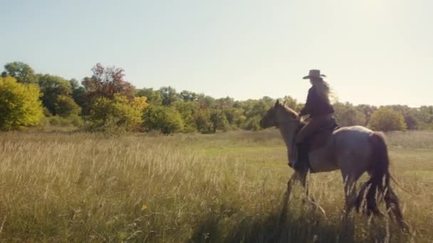 Kırsal Alanda Dört Nala Koşan Şapkalı Bir Kadın Atını Eğiten — Stok video