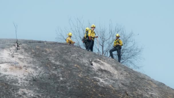 暑い夏の日に完全に焼かれた丘で働く消防士 山火事が4Kをもたらした直後に 熱風が熱い地面から上昇するのを遠くから見た消防士 — ストック動画