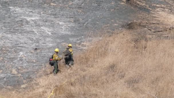 Вырубка Лесов Пожар Калифорния Пригород Лос Анджелеса Bushes Wildfire Fire — стоковое видео