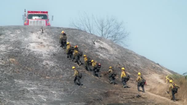 Відділ Пожежників Йде Обгорілому Пагорбі Після Гасіння Пожежі План Порятунку — стокове відео