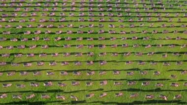 11 Eylül terör saldırılarında hayatını kaybedenlerin anısına düzenlenen törenin hava görüntüsü. Her vatandaş için büyük bir yıllık Amerikan ve uluslararası bayrağı gösterisi. Yüksek kalite 4k görüntü