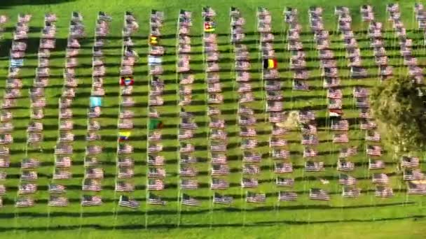 各市民のためのアメリカと国際的な旗の広大な毎年の表示 牧草地を横切り 国のシンボルを振って豪華な草で美しい自然の風景 高品質4K映像 — ストック動画