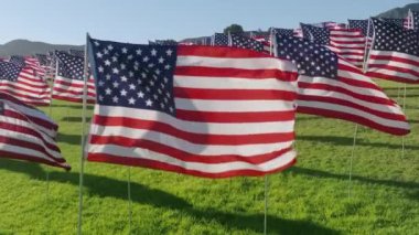 Ulusal sembollerle çevrili, bol doğal çevreye sahip güzel bir park. Terörist saldırılarda ölen her kurbanın bayraklarının insansız hava aracı görüntüleri. Yüksek kalite 4k görüntü