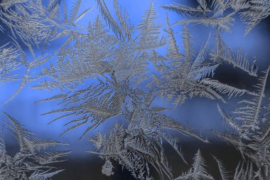 Yeni yıl ve Noel buzlu karlı arka plan gerçek buz kristalleri makroda soğuk mavi tonları ile