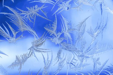 Yeni yıl ve Noel buzlu karlı arka plan gerçek buz kristalleri makroda soğuk mavi tonları ile