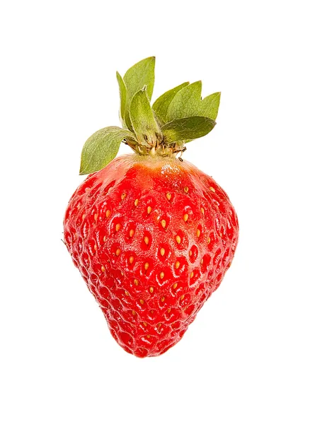 在白色背景上的一个红色草莓 — 图库照片