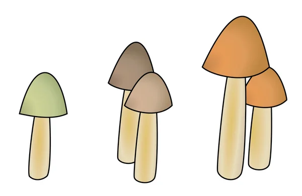 П'ять грибів з маленькою шапочкою — стокове фото