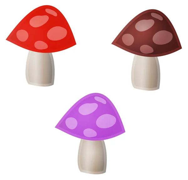 Три гриби — стокове фото