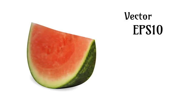 Realistische Melonen-Illustration, Vektor — Stockvektor