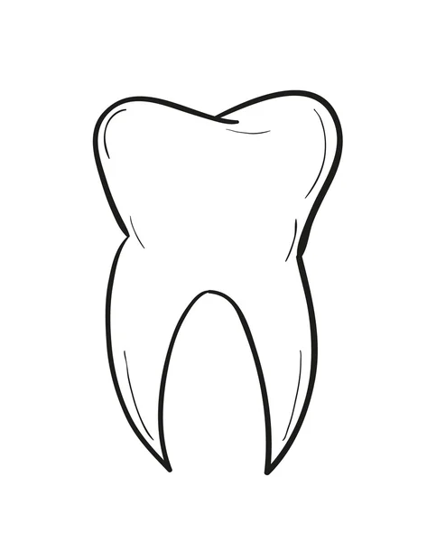 Skiss av tanden — Stock vektor
