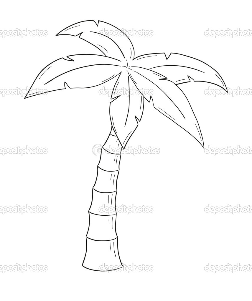 Depositphotos Stock Illustration Sketch Of The Palm Tree Photo Pencil Drawings Depositphotos Stock Illustration Sketch Of The Palm Tree Photo Pencil Drawings