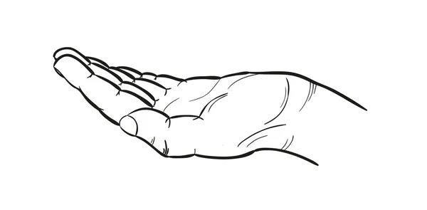 Skizze der Hand — Stockvektor