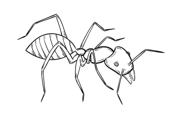 Sketch of the ant Royalty Free Stock Illustrations