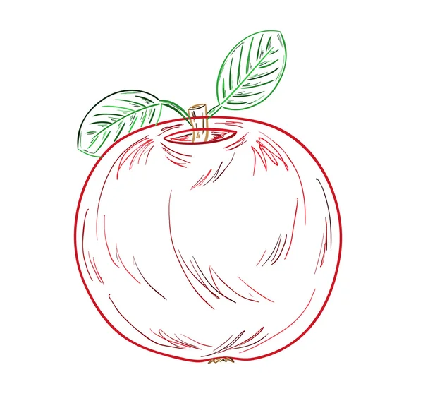 Bosquejo de manzana — Vector de stock