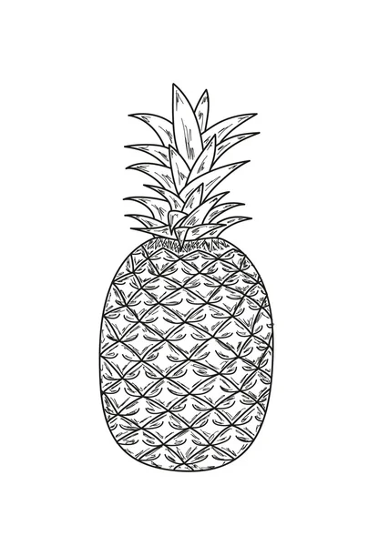 Ananas, esboço —  Vetores de Stock