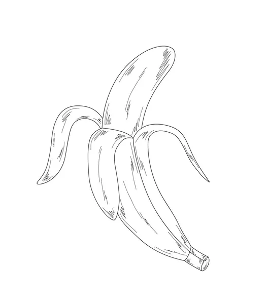 Banana, sketch — Stock Vector