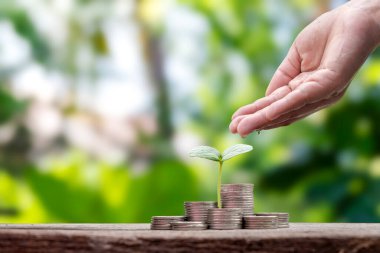 Bozuk para yığınları üzerinde büyüyen bitkileri sulayan eller. Mali kalkınma ve ekonomik büyüme kavramı.