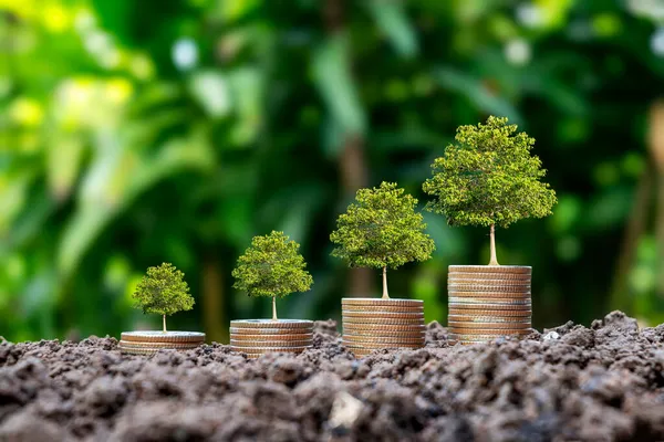 Bäume Wachsen Mit Geld Und Fruchtbarem Boden Als Finanz Und — Stockfoto