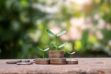 Ağaçlar bozuk para yığınları üzerinde bulanık yeşil bir arka plana karşı büyüyorlar. Tasarruf ve ekonomiyi büyütme fikirleri