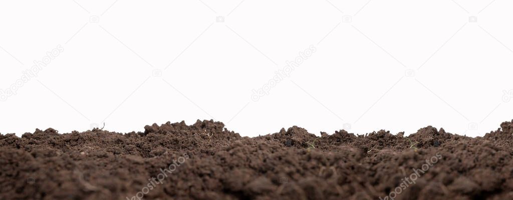 fertile soil or isolated mound of soil on a white background.
