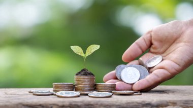 Bozuk para ve el yığınları üzerinde büyüyen ağaçlar gelecekteki güvenlik için finansal gelecek planlama fikirleri sunar.