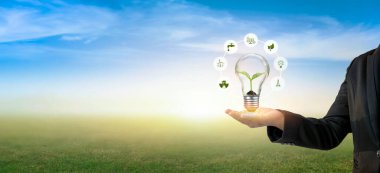 Enerji tasarruflu lambalara ağaç dikmek. Sürdürülebilirlik için çevrenin korunması ve doğal enerji kavramı.