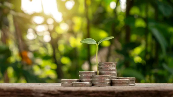 Tree Growing Pile Coins Green Background Financial Concept Financial Business — Foto de Stock