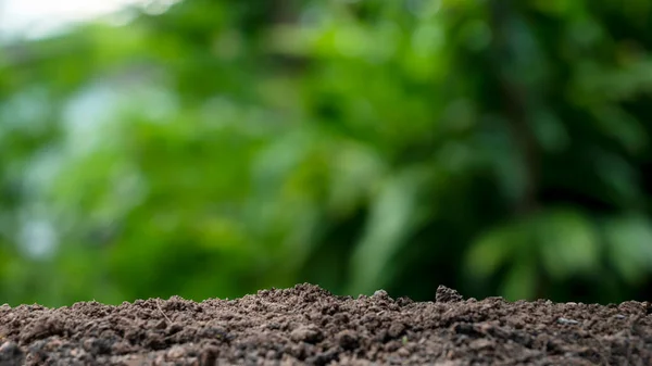 Fruchtbarer Boden Und Verschwommener Grüner Naturhintergrund — Stockfoto