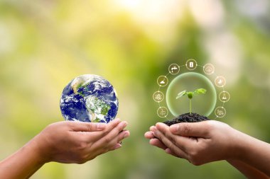 The exchange of planets in human hands and plants in human hands. earth day concept (Elements of this image furnished by NASA)
