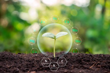 Tree growing on soil with plant growth factor icon eco concept earth day card protect the environment.