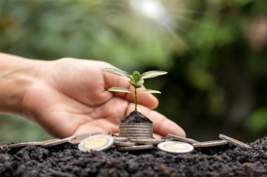 Bozuk para yığınında yetişen fidanlar arasında ağaçları sel basan beyaz ışık, iş fikirleri, tasarruf ve ekonomik büyüme yer alıyor..