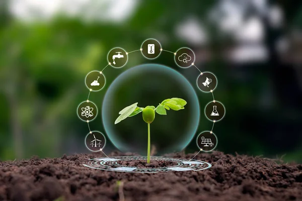 Tree Growing Soil Plant Growth Factor Icon Eco Concept Earth — Fotografia de Stock