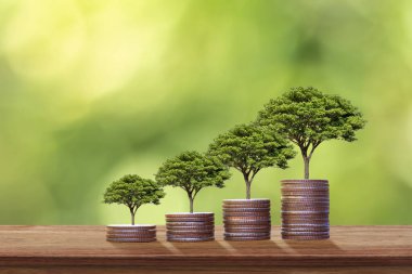 Para biriktirmek için bozuk para yığınında yetişen ağaçlar ya da bitkiler. para kavramı finansal sürdürülebilirlik ekonomik büyüme.