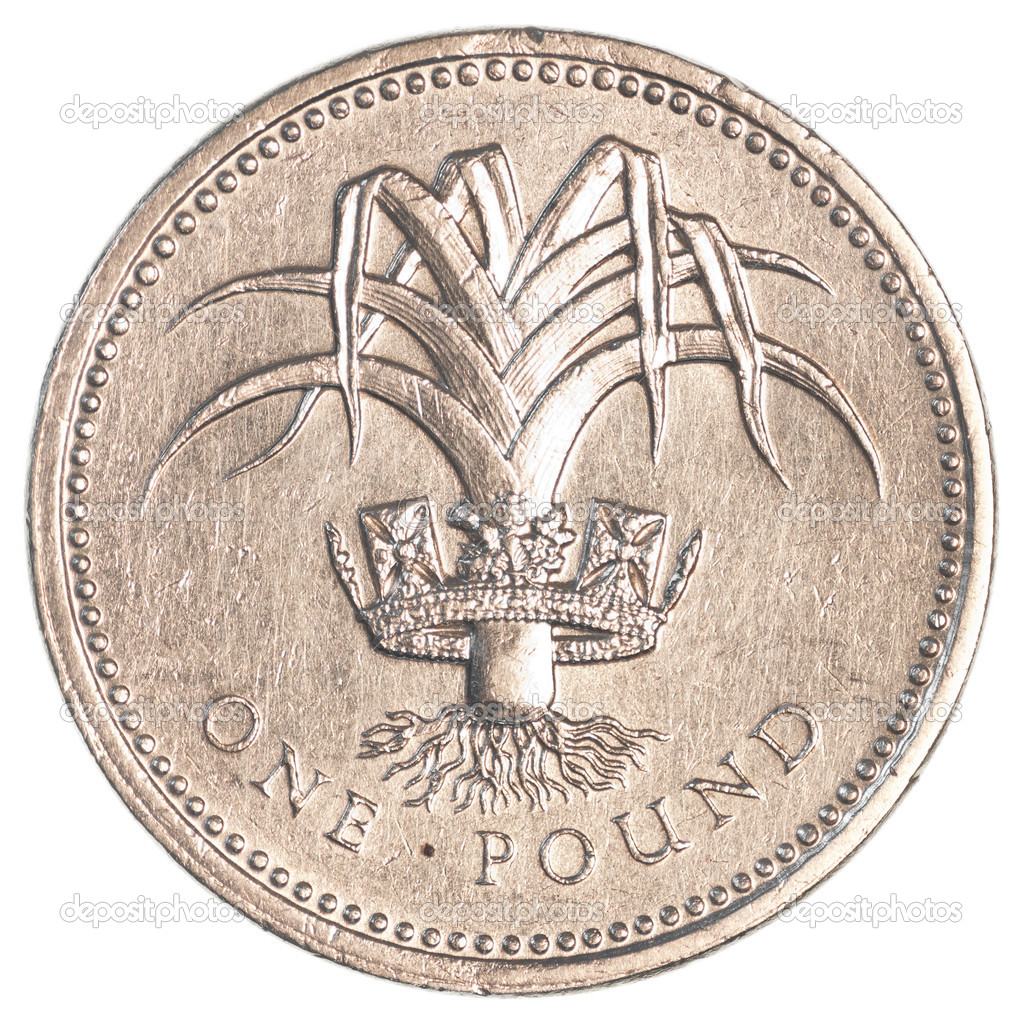 One british pound coin — Stock Photo © asafeliason #23811679
